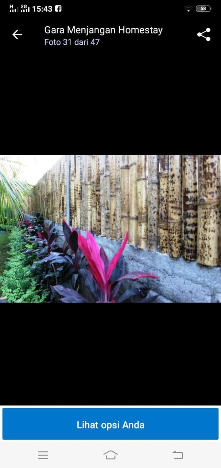 Gara Menjangan Homestay Banyuwedang Extérieur photo